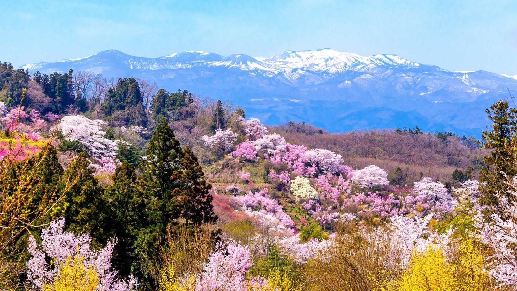Toyoko Inn Fukushima Eki Nishi Guchi מראה חיצוני תמונה